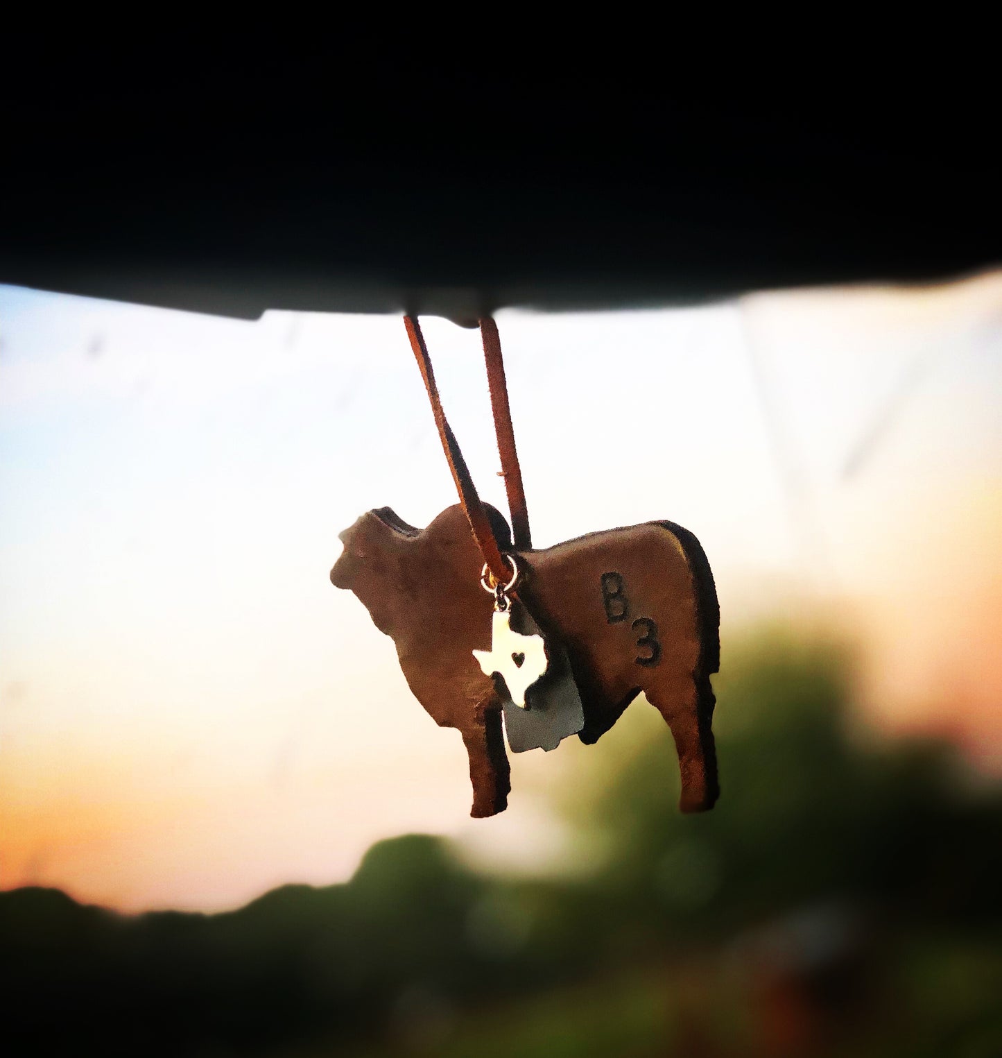 Custom "Branded" Car Freshener