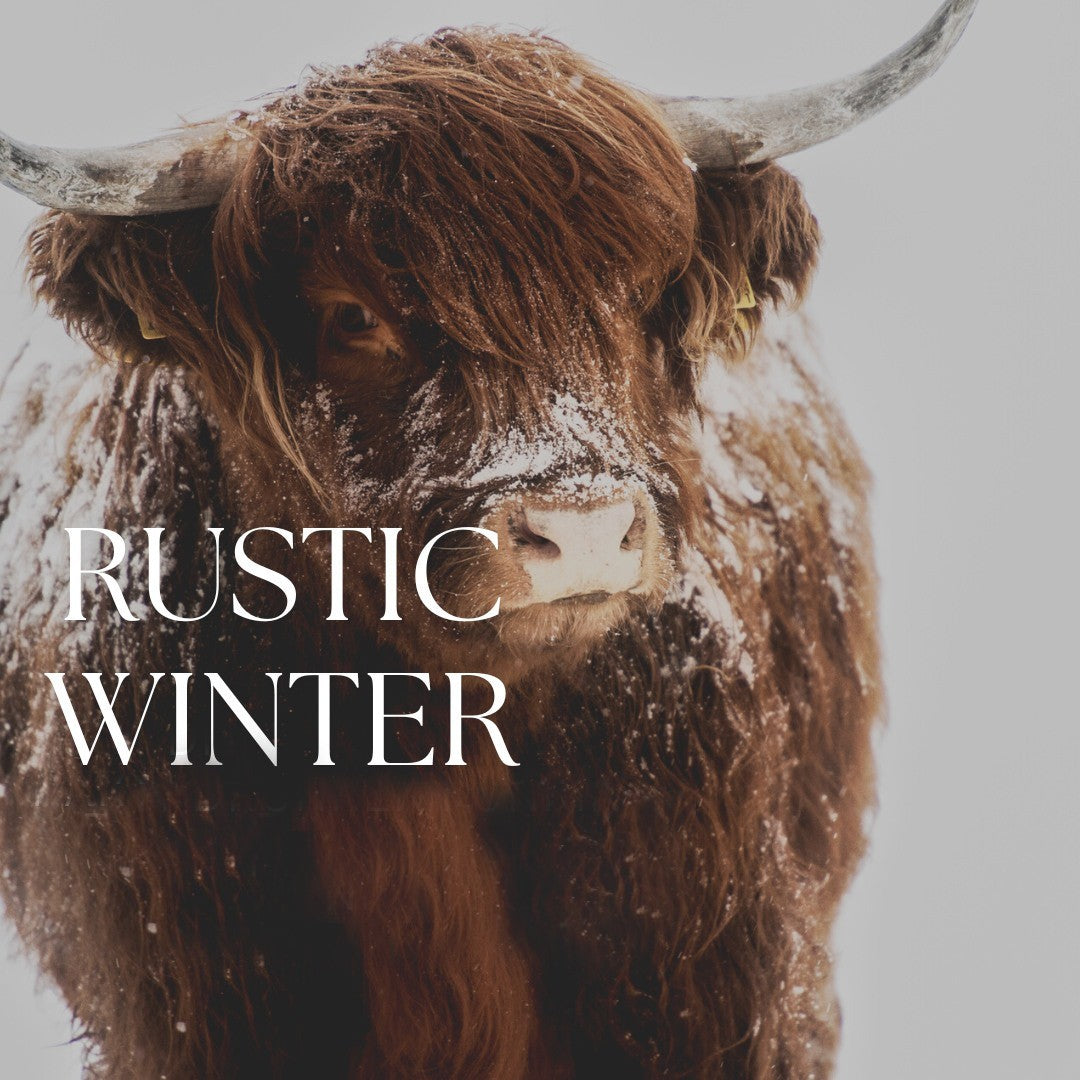 Rustic Winter